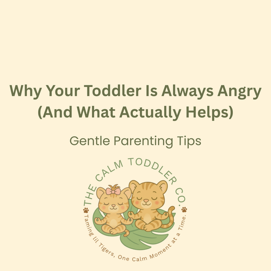 Why Your Toddler Is Always Angry (And What Actually Helps)