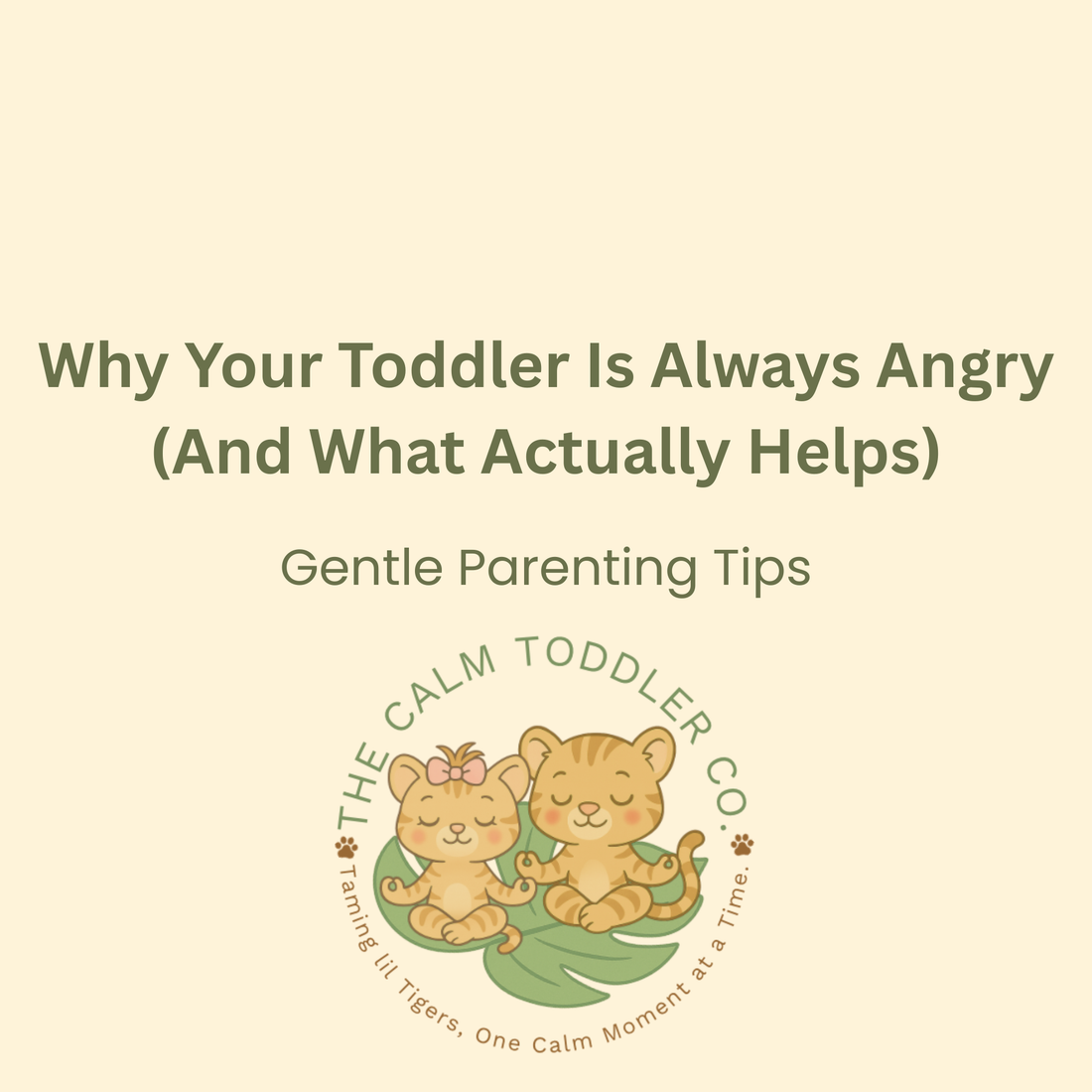 Why Your Toddler Is Always Angry (And What Actually Helps)
