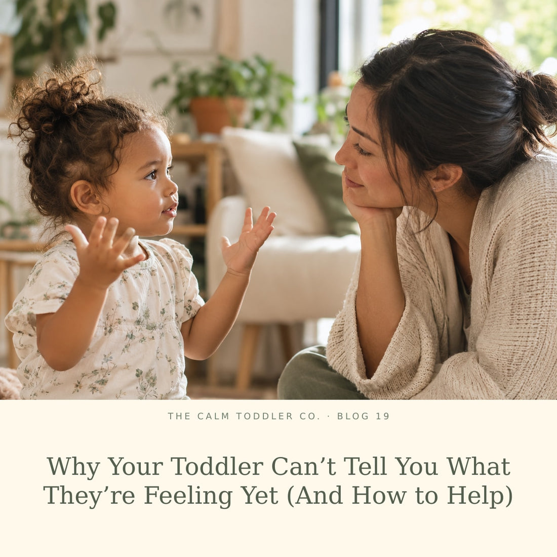 Why Your Toddler Can’t Tell You What They’re Feeling Yet (And How to Help)