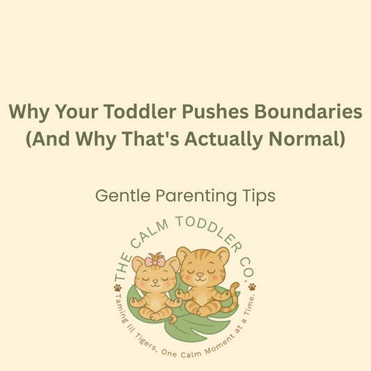 Why Your Toddler Pushes Boundaries (And Why That's Actually Normal)