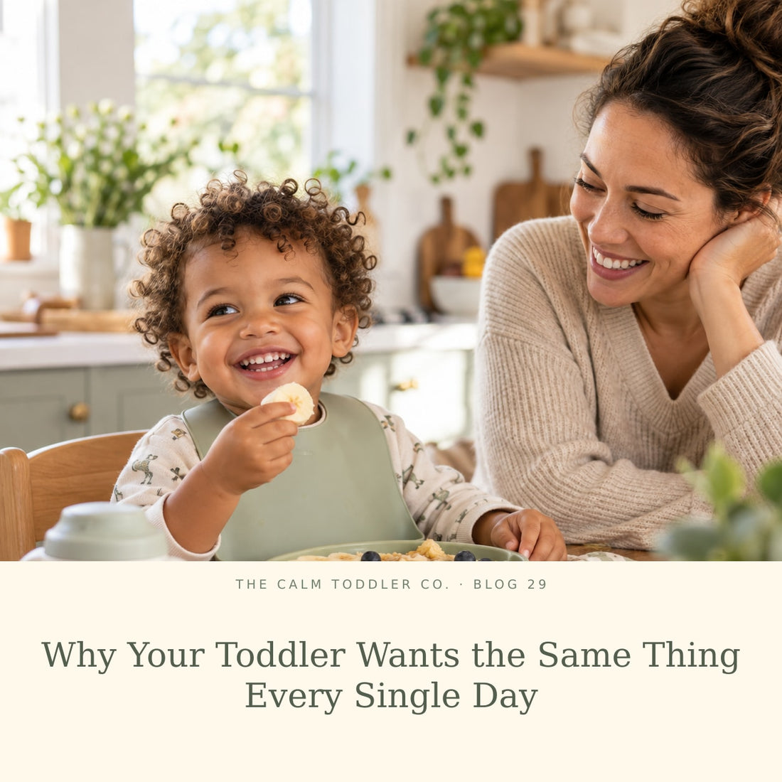 Why Your Toddler Wants the Same Thing Every Single Day