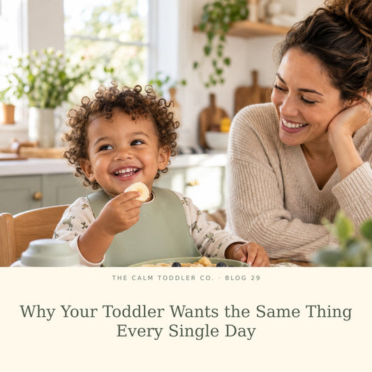 Why Your Toddler Wants the Same Thing Every Single Day