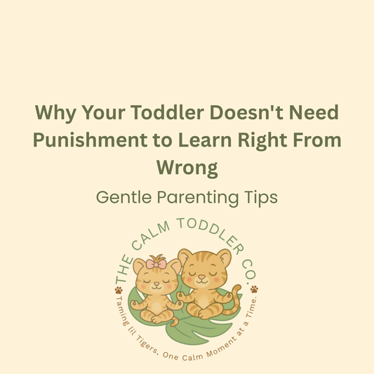 Why Your Toddler Doesn't Need Punishment to Learn Right From Wrong