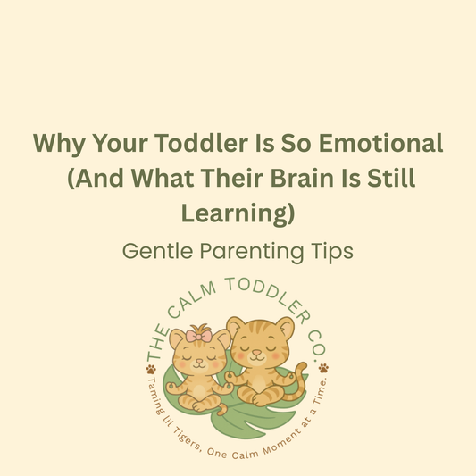 Why Your Toddler Is So Emotional (And What Their Brain Is Still Learning)