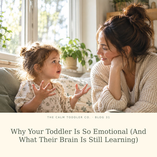 Why Your Toddler Is So Emotional (And What Their Brain Is Still Learning)