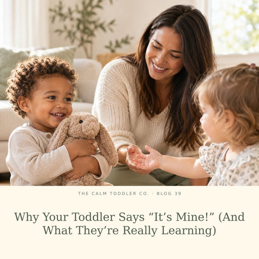 Why Your Toddler Says "It's Mine!" (And What They're Really Learning)
