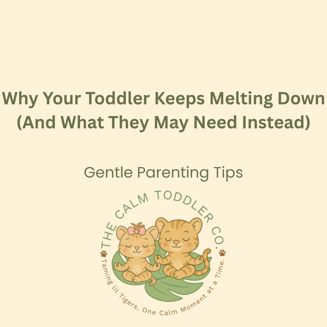 Why Your Toddler Keeps Melting Down (And What They May Need Instead)