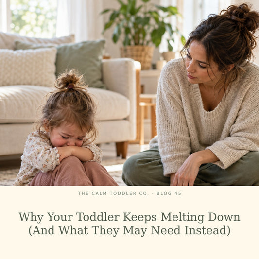 Why Your Toddler Keeps Melting Down (And What They May Need Instead)