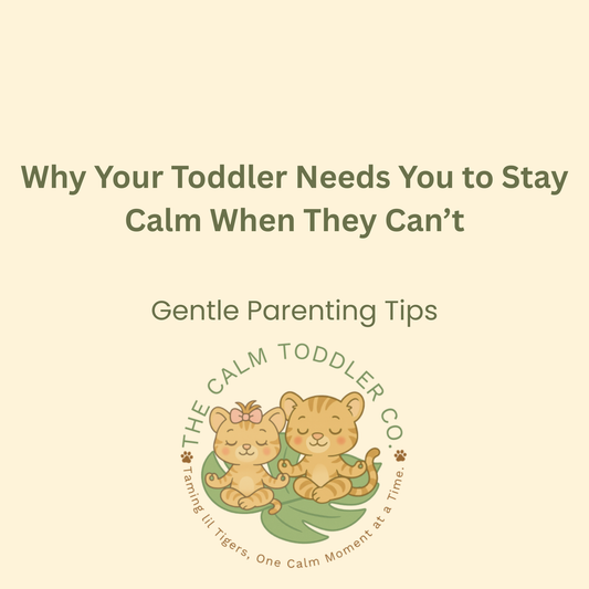 Why Your Toddler Needs You to Stay Calm When They Can’t