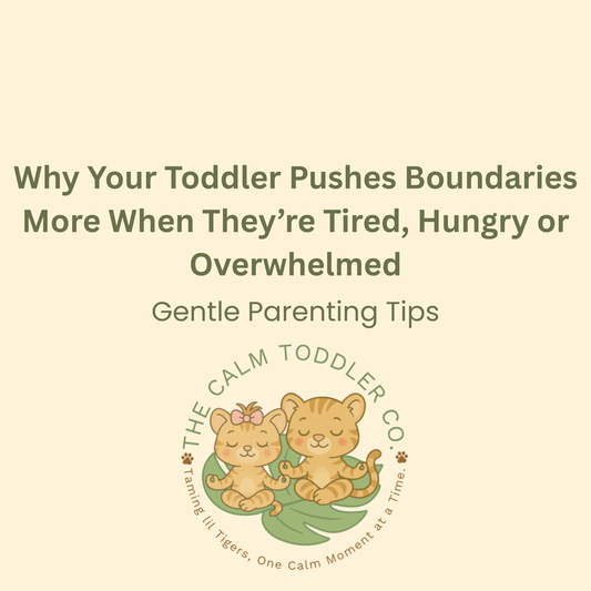 Why Your Toddler Pushes Boundaries More When They’re Tired, Hungry or Overwhelmed