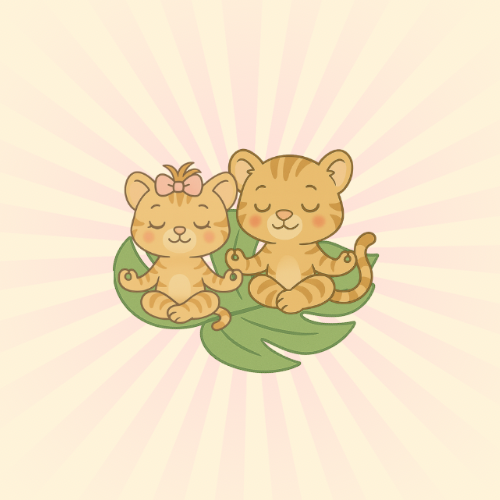 Calm Starter Sets