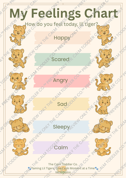 My Feelings Learning Set — Tayo