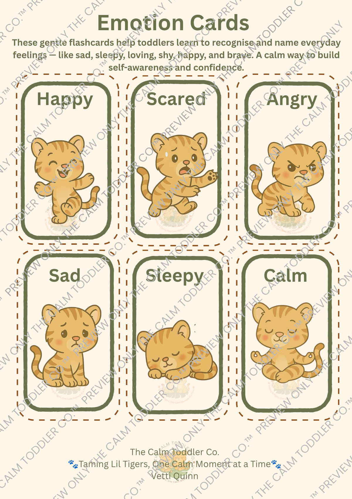 My Feelings Learning Set — Tayo