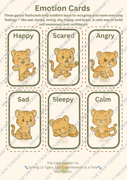 My Feelings Learning Set — Tayo