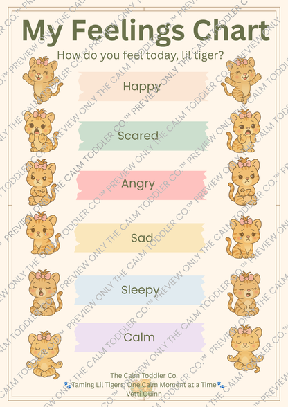 My Feelings Learning Set | Tilli & Tayo Bundle