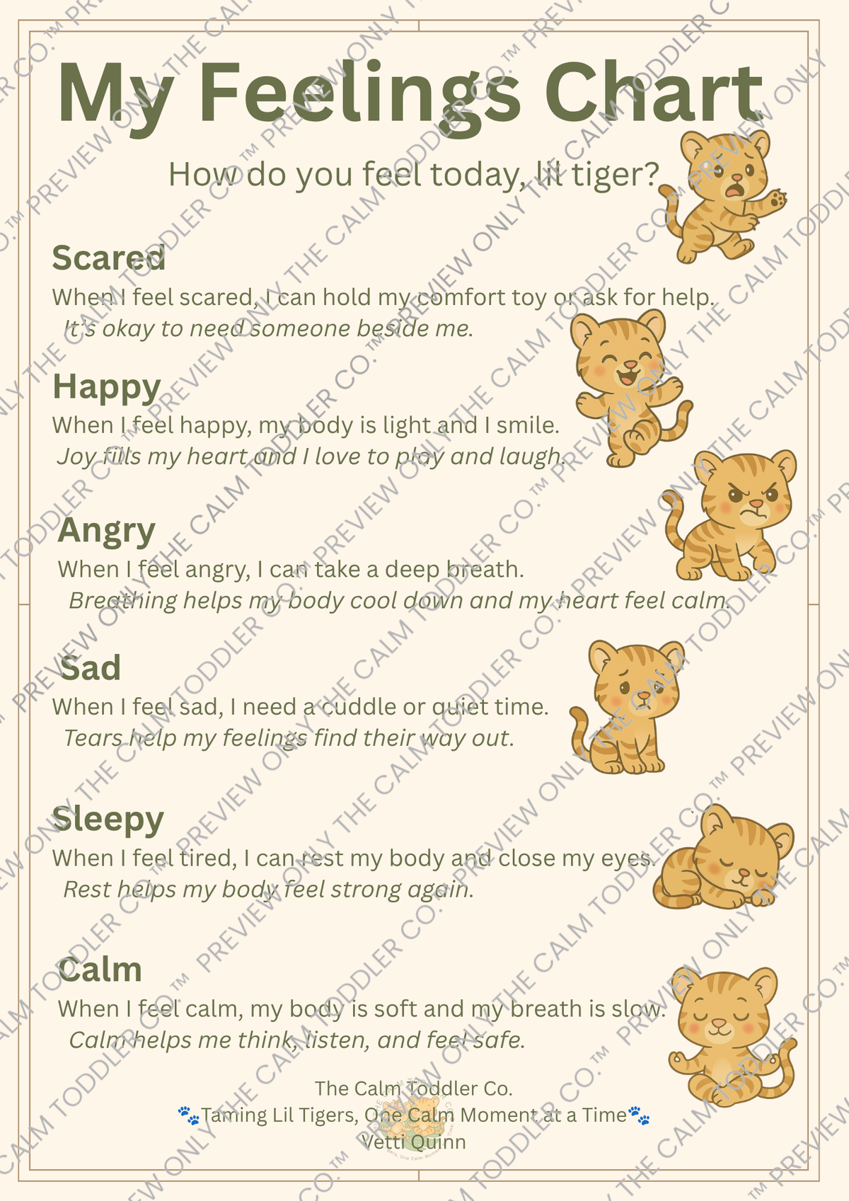 My Feelings Learning Set — Tayo