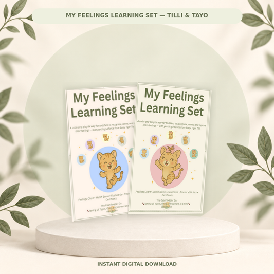 My Feelings Learning Set | Tilli & Tayo Bundle