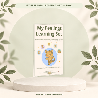 My Feelings Learning Set — Tayo