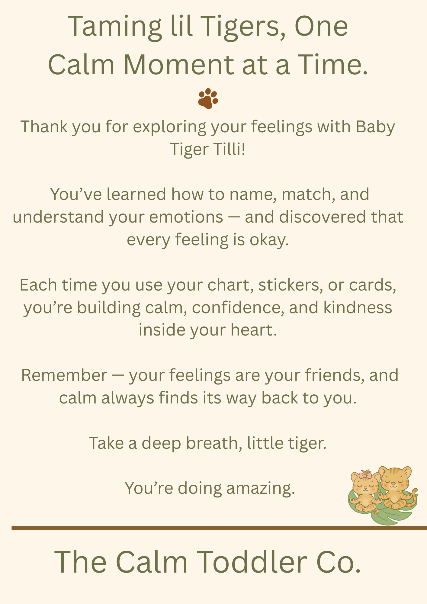 My Feelings Learning Set – Toddler Emotional Learning Bundle (Tayo Boy Version) | The Calm Toddler Co.