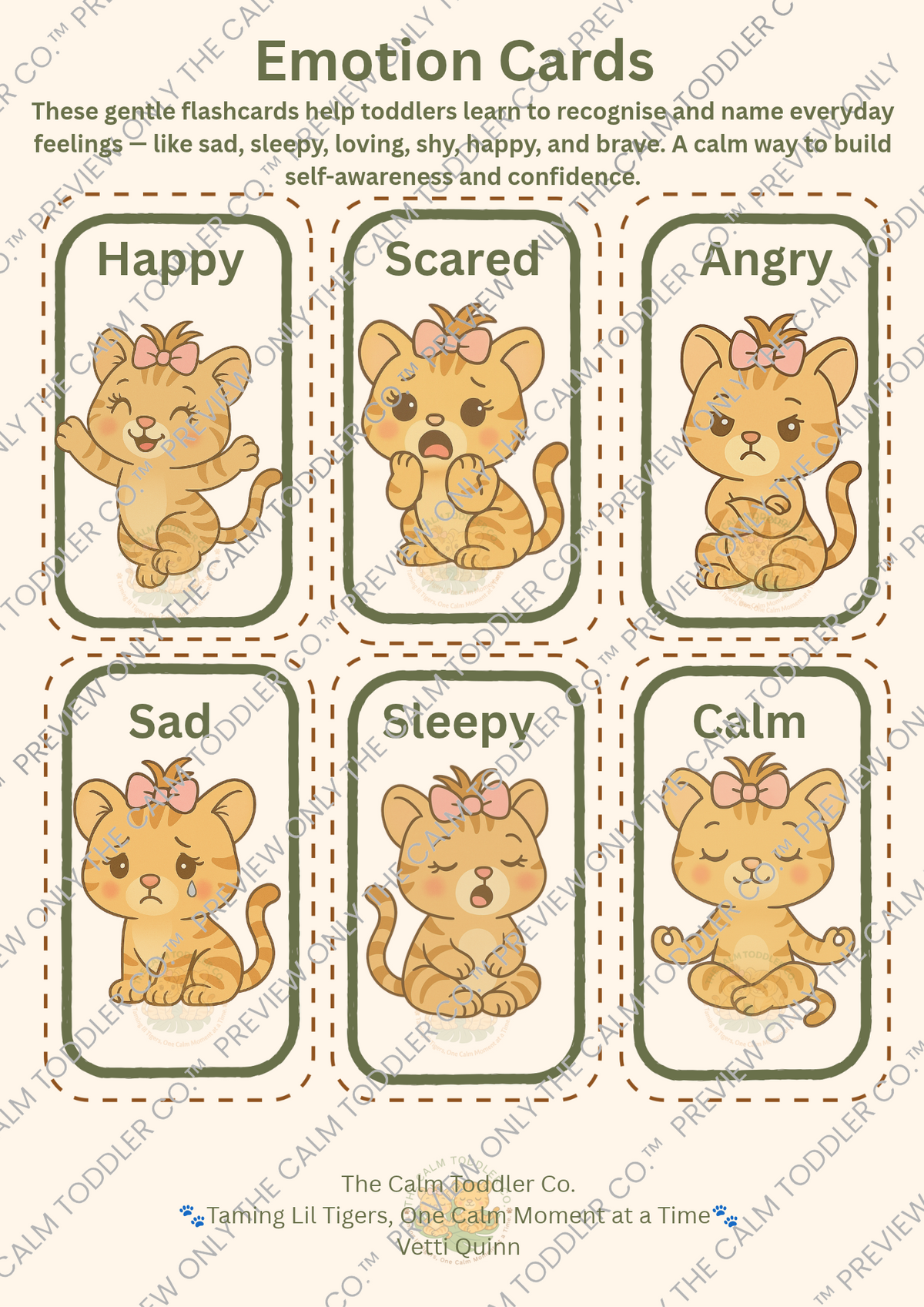 My Feelings Learning Set | Tilli & Tayo Bundle