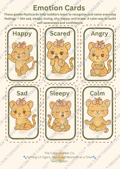 My Feelings Learning Set | Tilli & Tayo Bundle