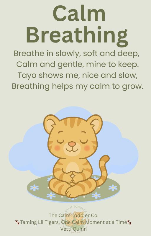 Toddler Calm Routine Bundle – Morning & Night (Tayo Boy Version) | The Calm Toddler Co.